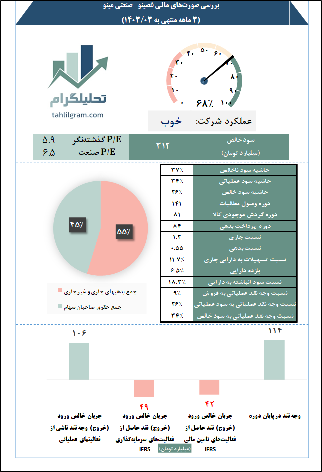 غصینو صورت مالی