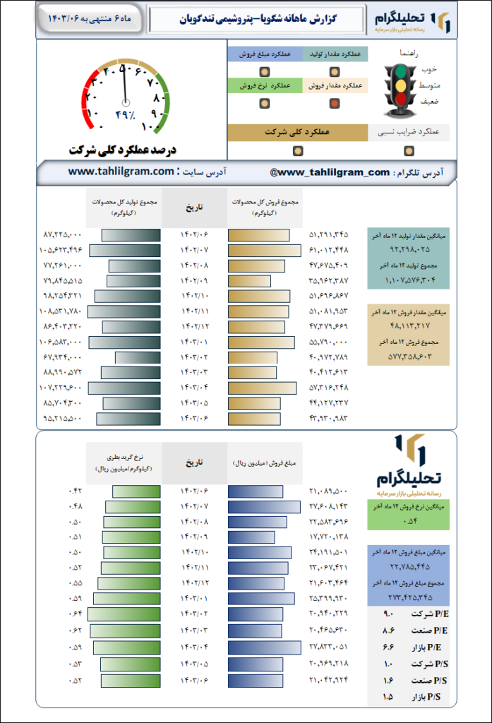 گزارش ماهانه منتهی به 1403/06 شگویا-پتروشیمی تندگویان
