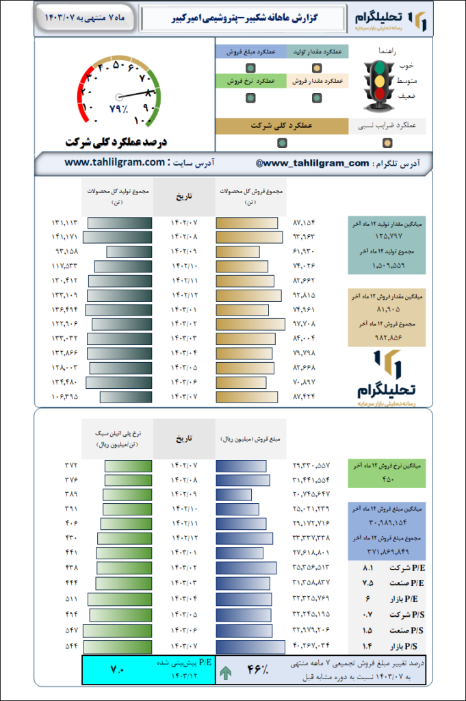 گزارش ماهانه منتهی به 1403/07 شکبیر-پتروشیمی امیرکبیر
