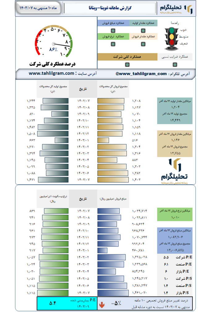 گزارش ماهانه منتهی به  1403/07 غویتا-ویتانا
