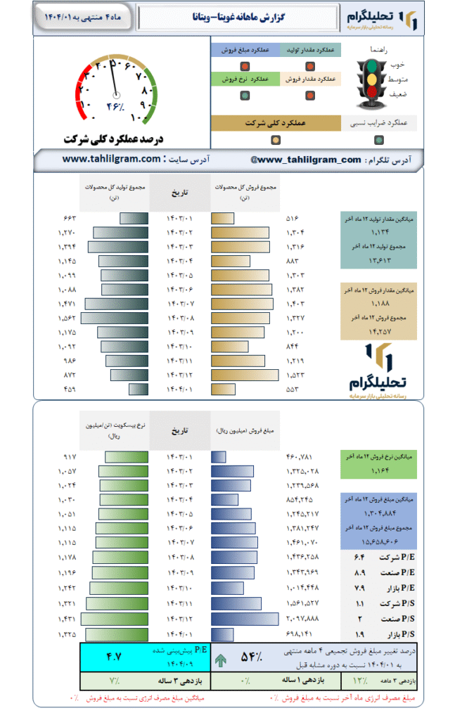 گزارش ماهانه منتهی به 1404/01 غویتا-ویتانا