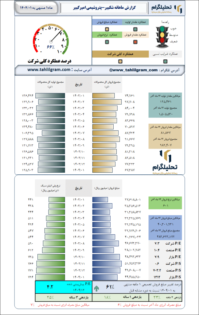 گزارش ماهانه منتهی به 1404/01 شکبیر-پتروشیمی امیرکبیر