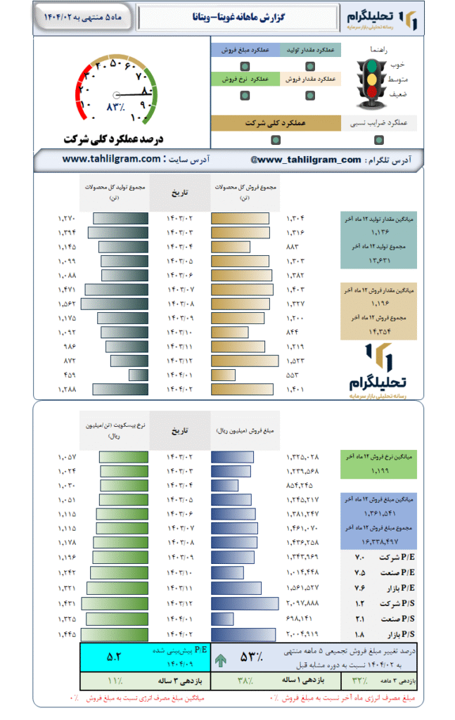 گزارش ماهانه منتهی به 1404/02 غویتا-ویتانا