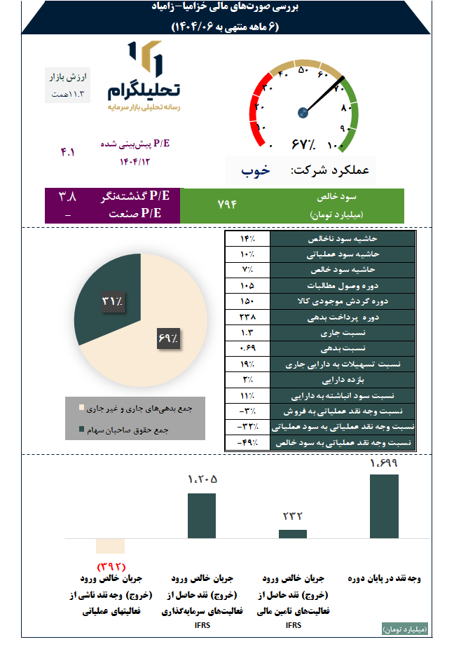 بررسی صورتهای مالی خزامیا-زامیاد