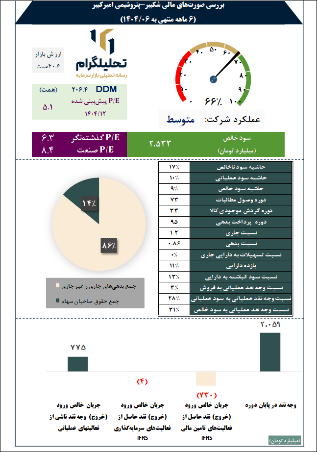 بررسی صورتهای مالی شکبیر-پتروشیمی امیرکبیر