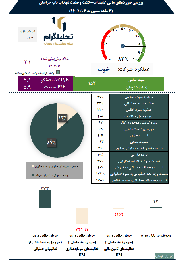 بررسی صورتهای مالی غشهداب-کشت و صنعت شهداب ناب خراسان